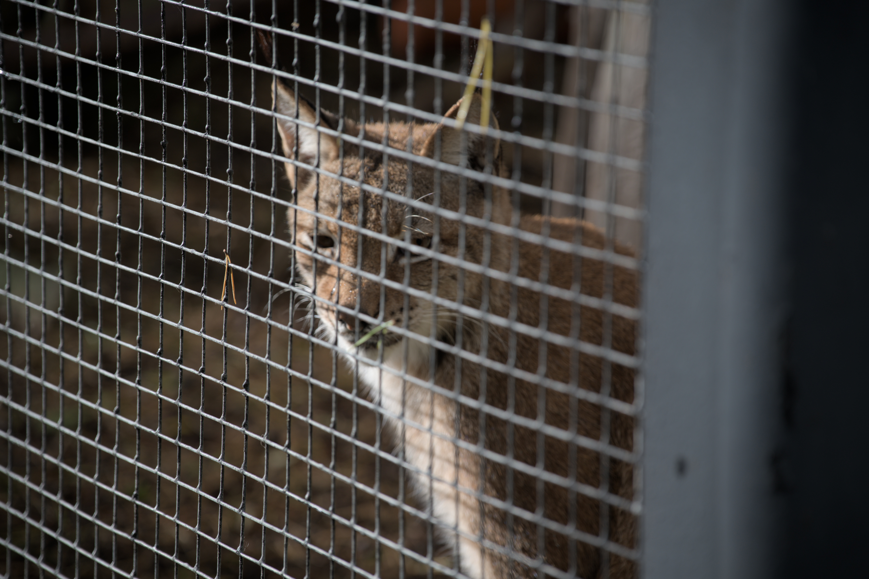 2025/10/12 - zoo/DSC_0350.jpg